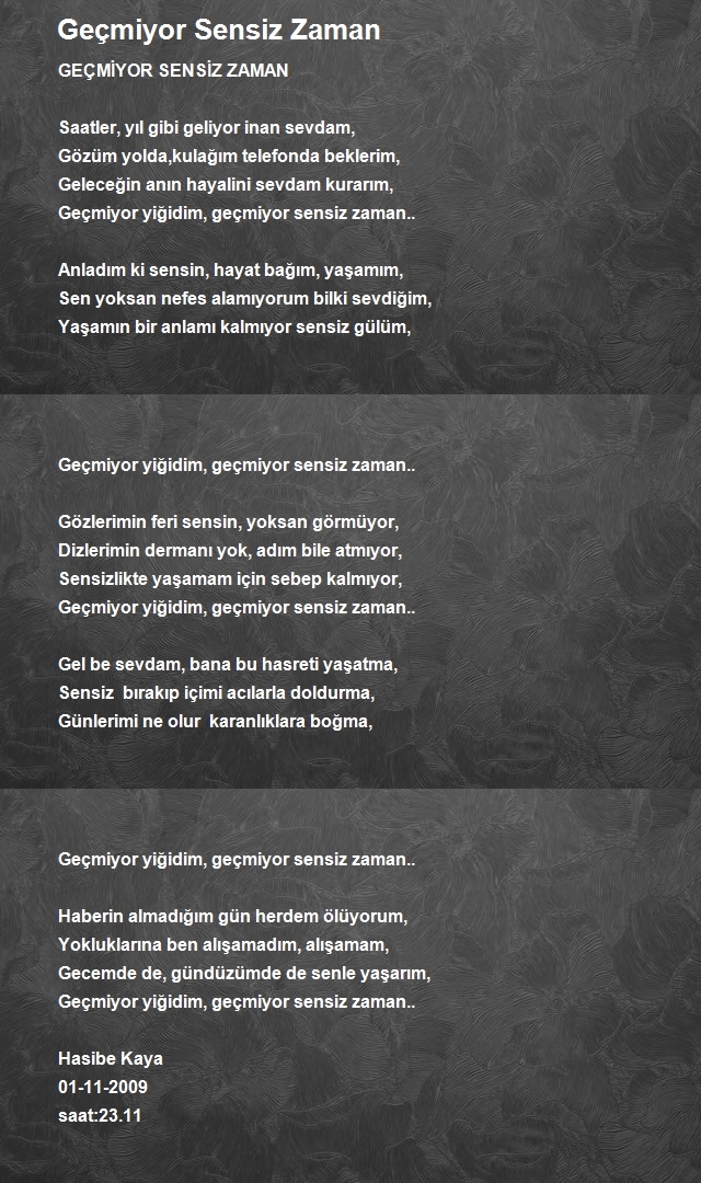 Hasibe Kaya 2