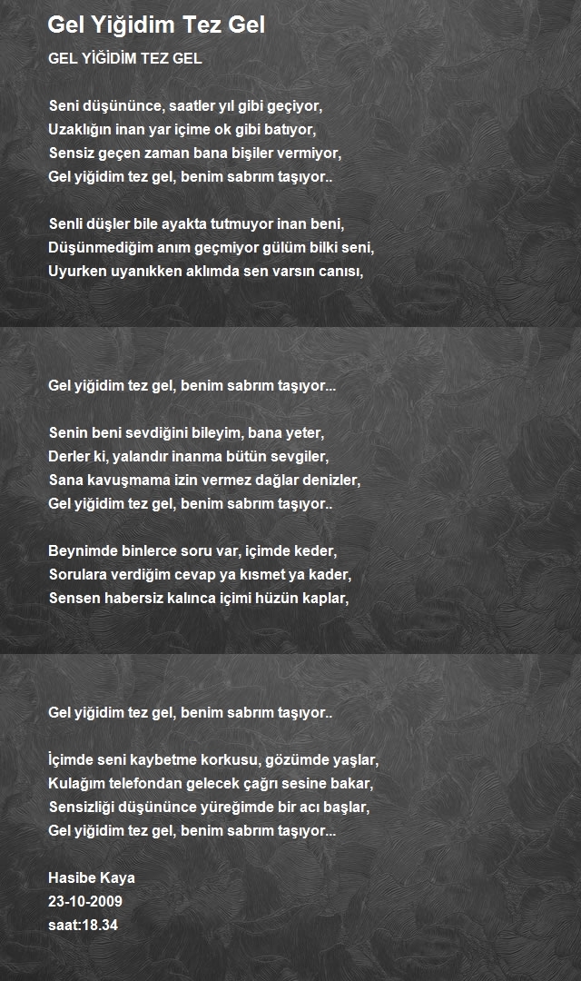 Hasibe Kaya 2