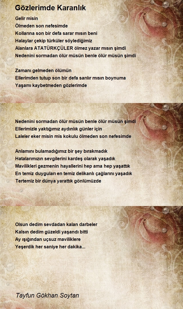Tayfun Gökhan Soytan