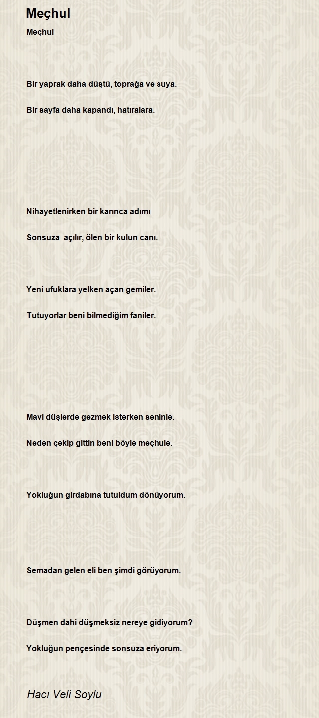 Hacı Veli Soylu