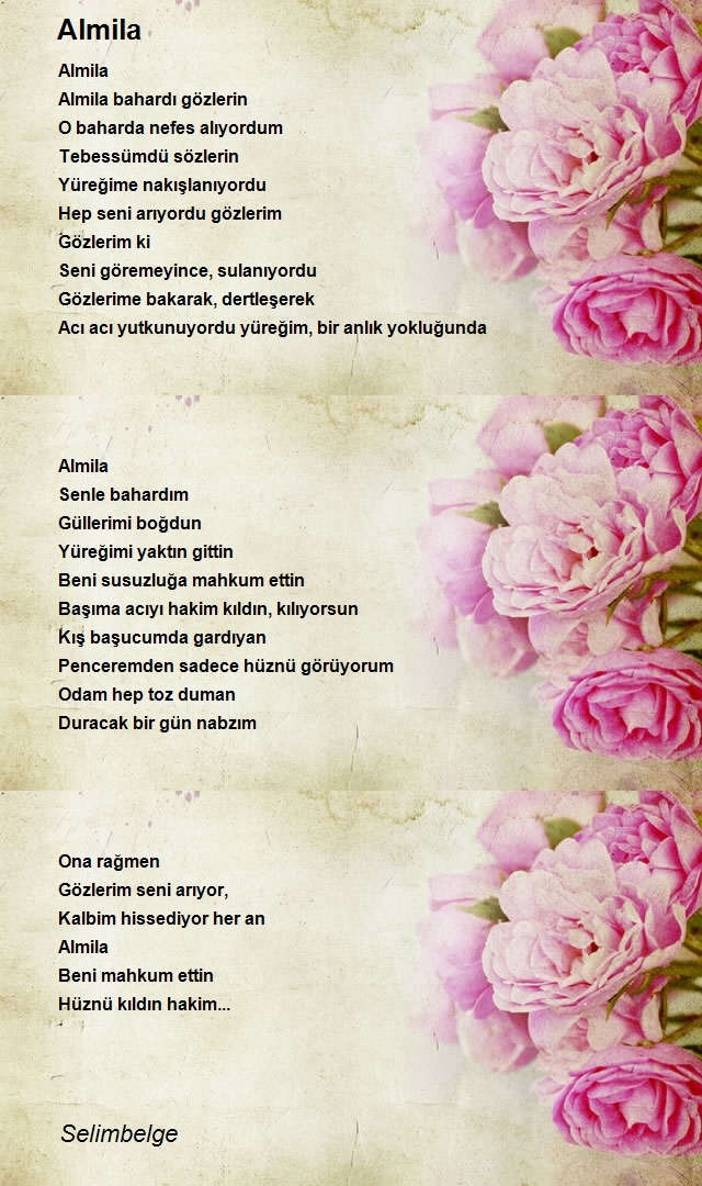 Şair Selimbelge