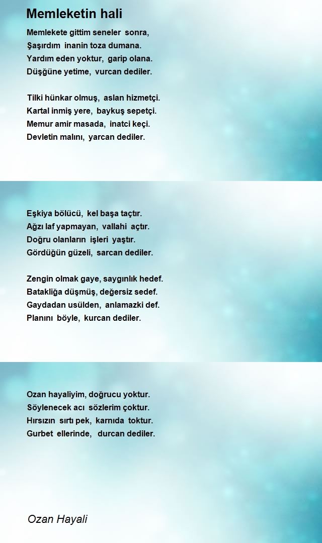 Ozan Hayali