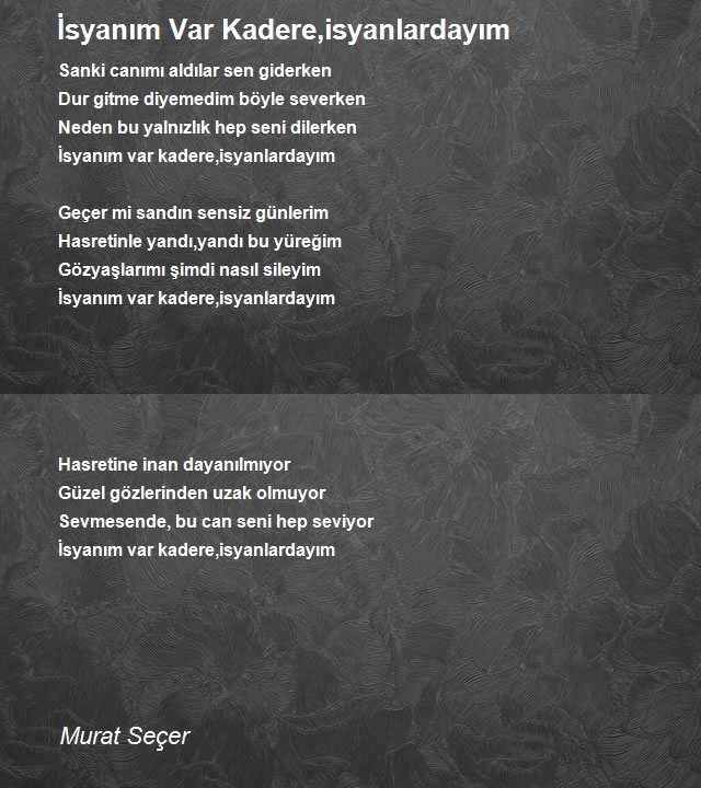 Murat Seçer