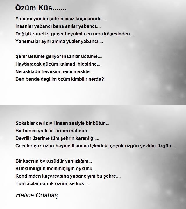Hatice Odabaş