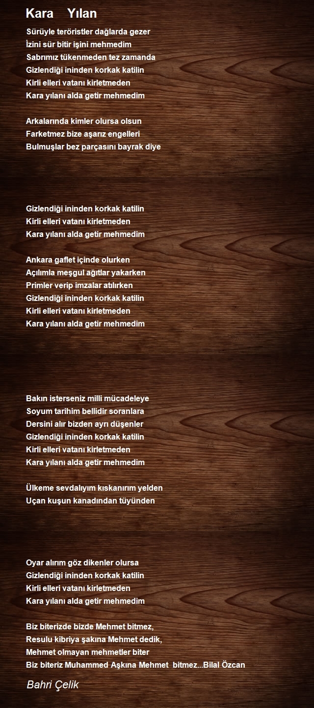 Bahri Çelik