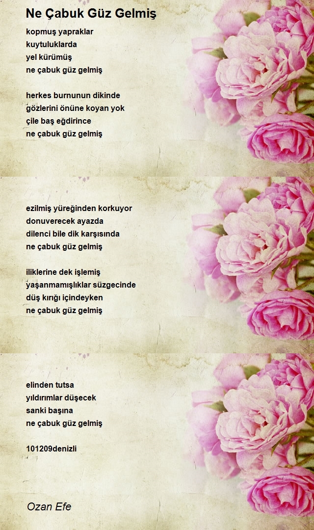 Ozan Efe