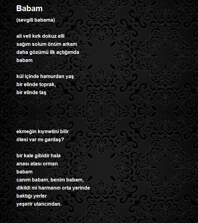 Aydın Soylu