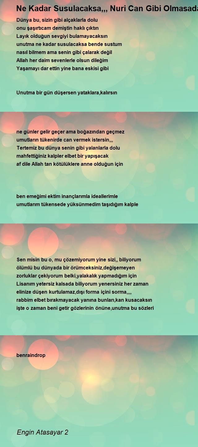 Engin Atasayar 2