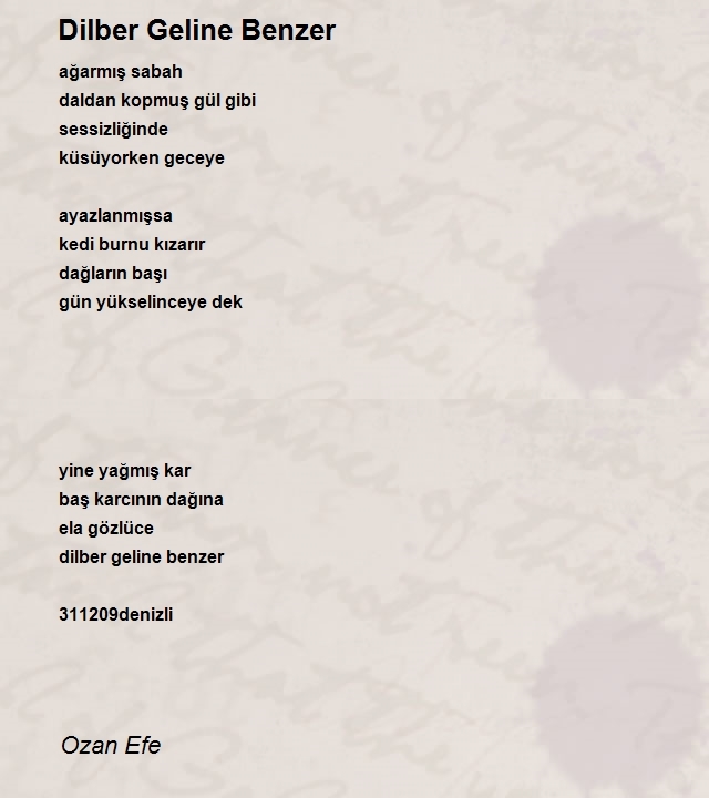Ozan Efe