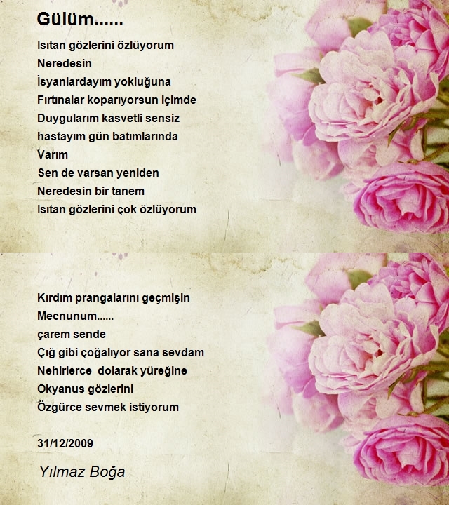 Yılmaz Boğa