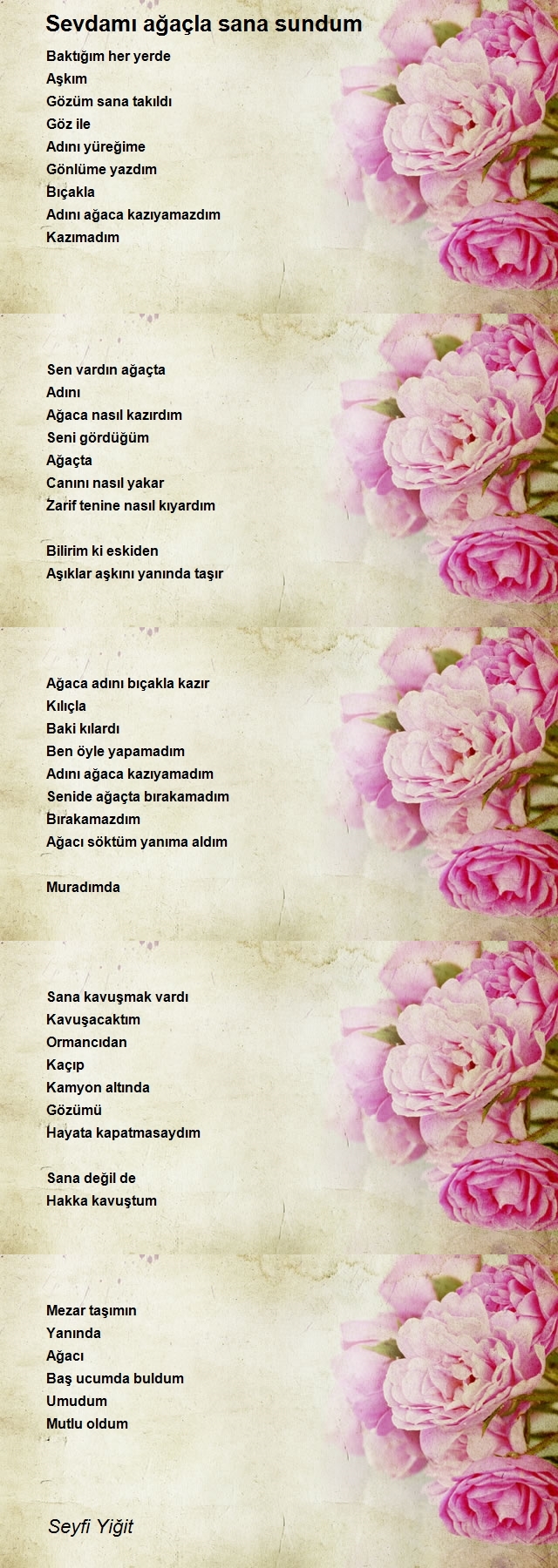 Seyfi Yiğit