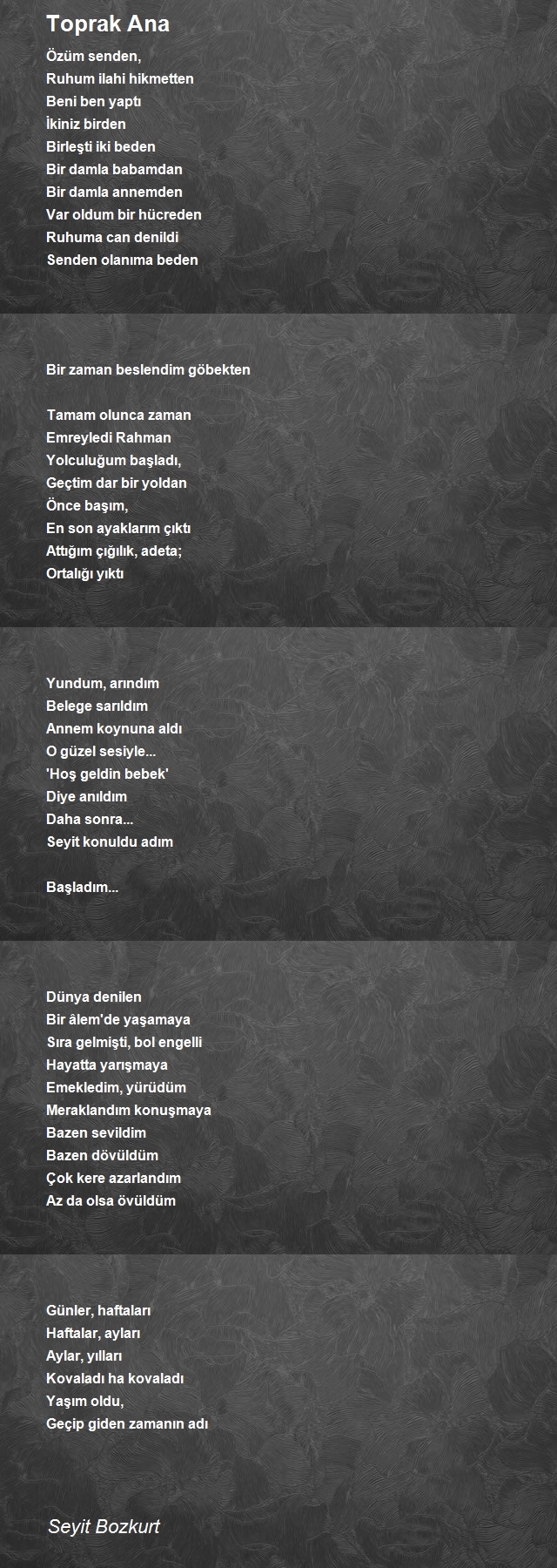 Seyit Bozkurt
