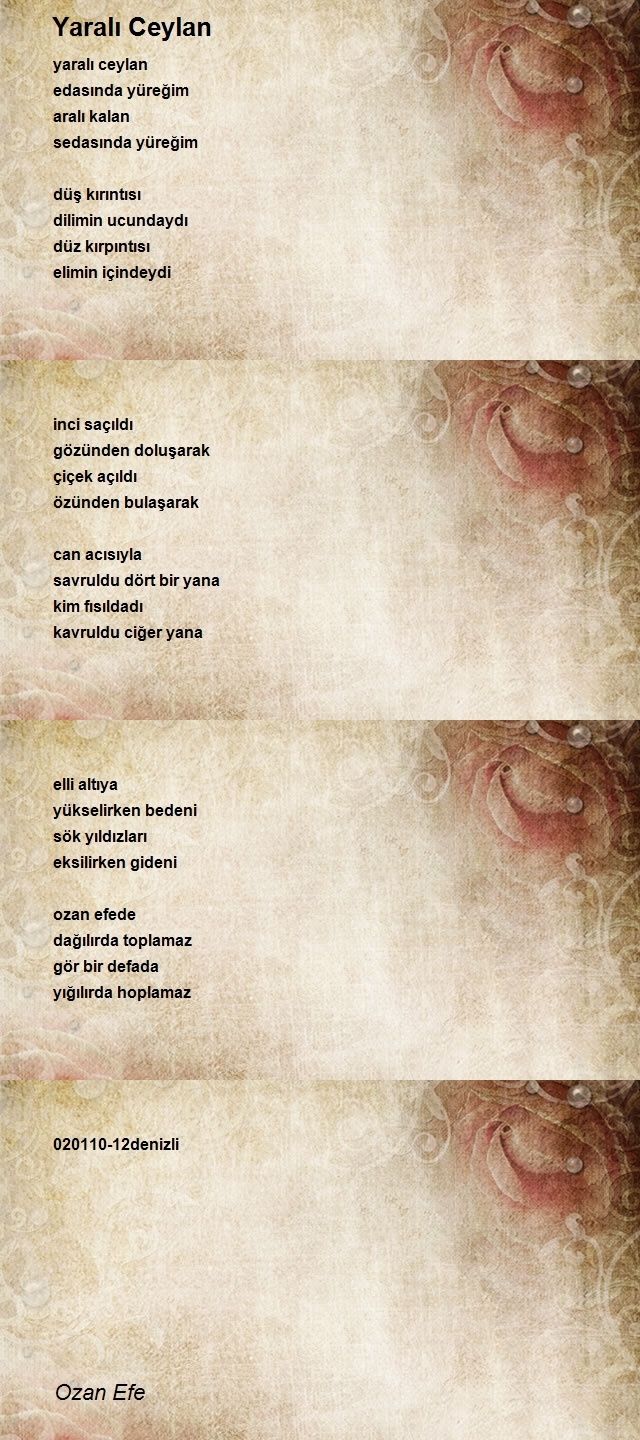 Ozan Efe