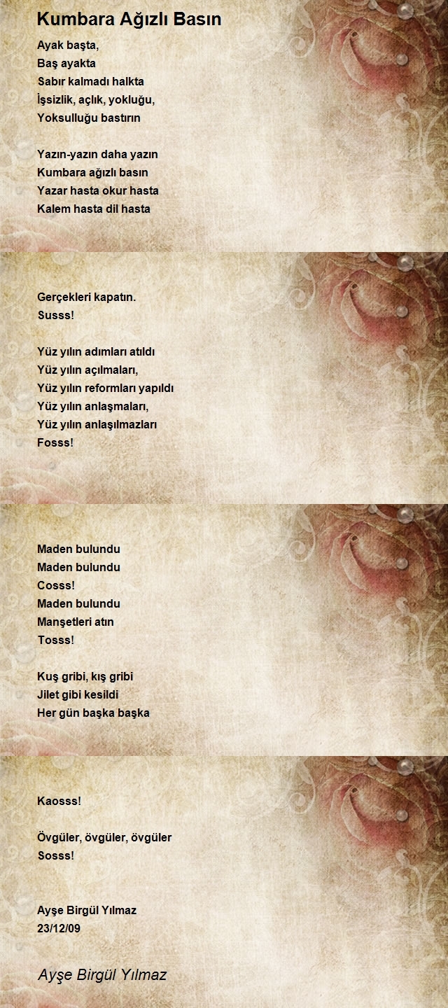 Ayşe Birgül Yılmaz