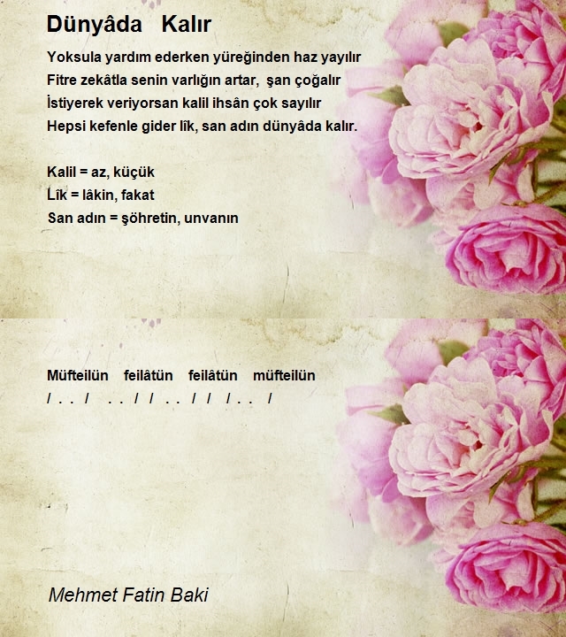 Mehmet Fatin Baki