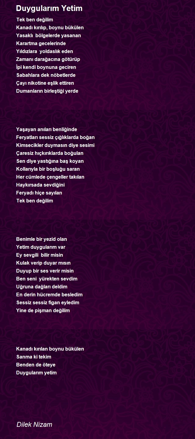 Dilek Nizam