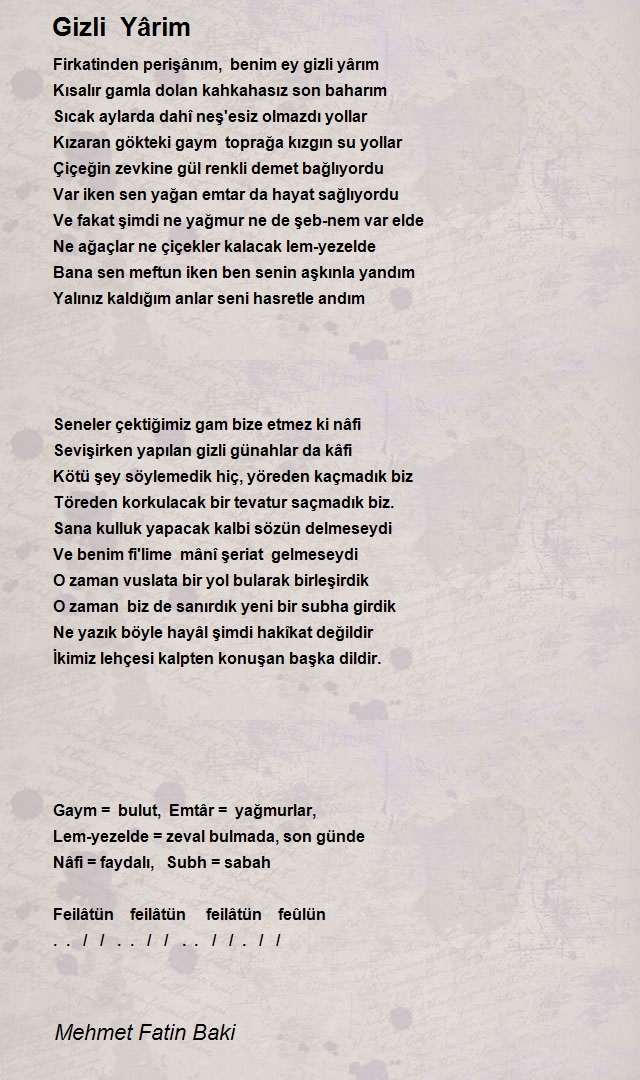 Mehmet Fatin Baki
