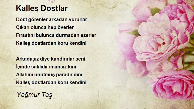 Yağmur Taş
