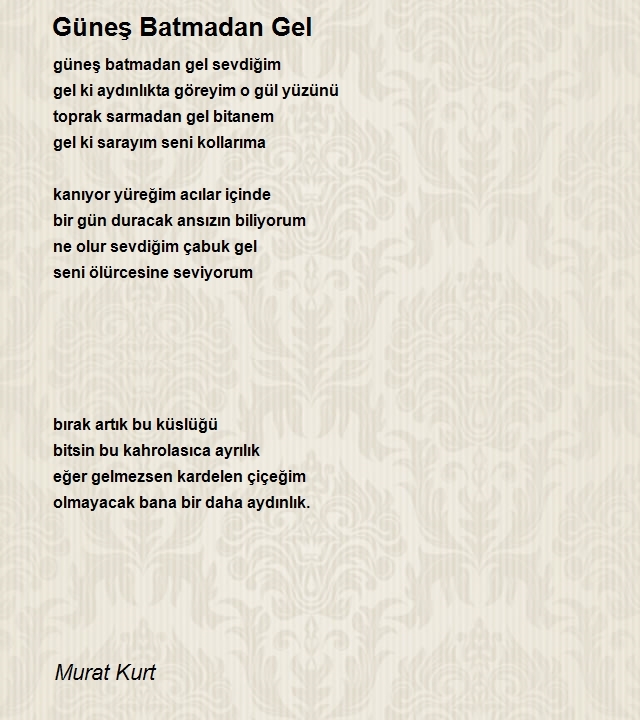 Murat Kurt