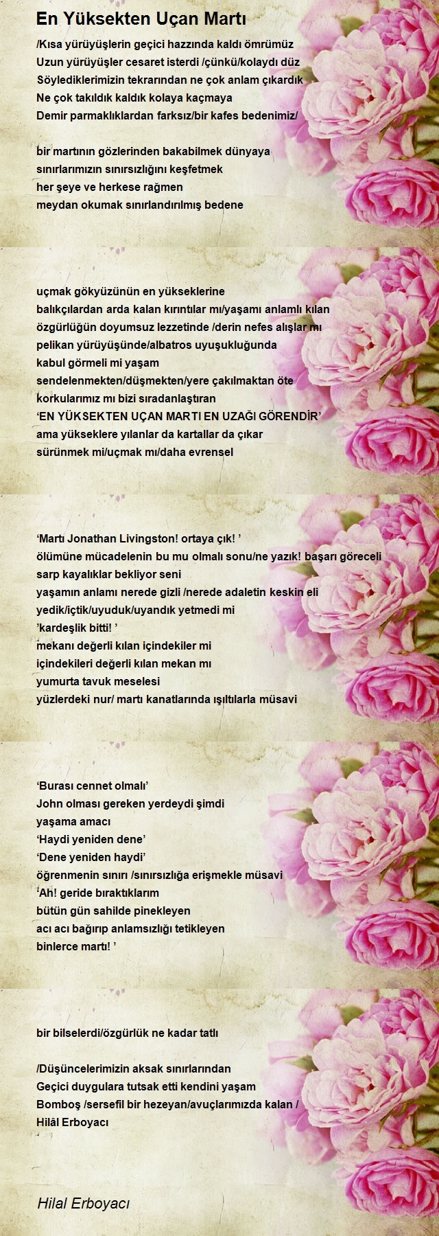 Hilal Erboyacı