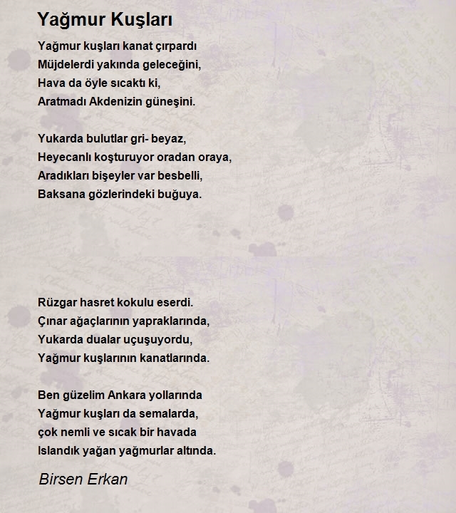 Birsen Erkan