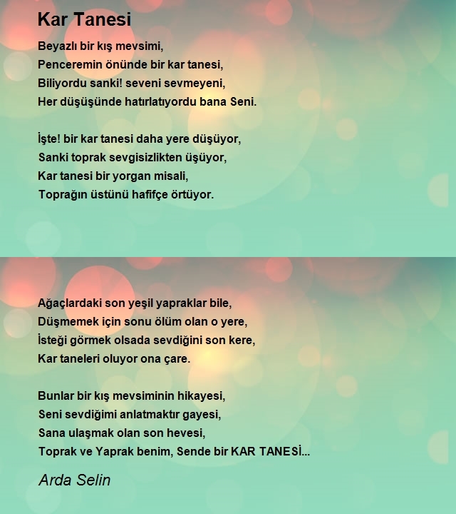 Arda Selin