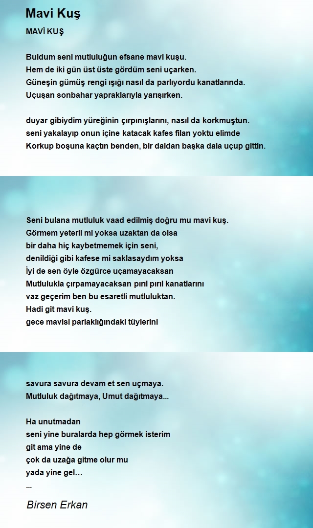 Birsen Erkan