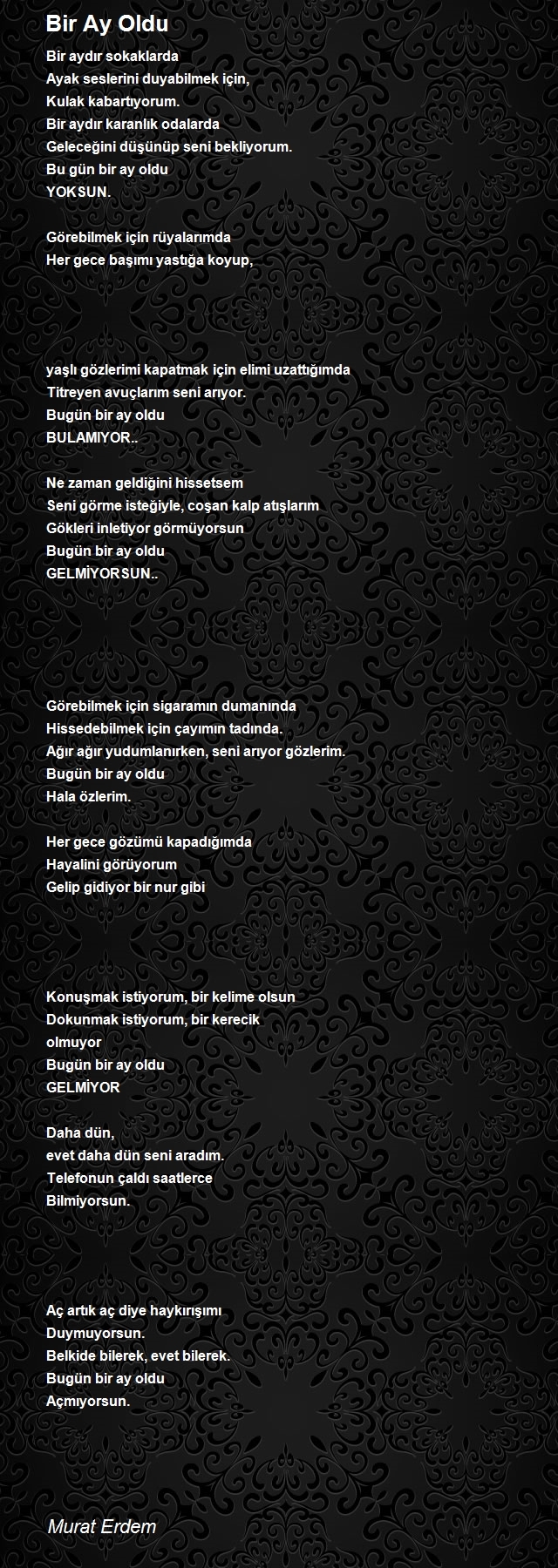 Murat Erdem