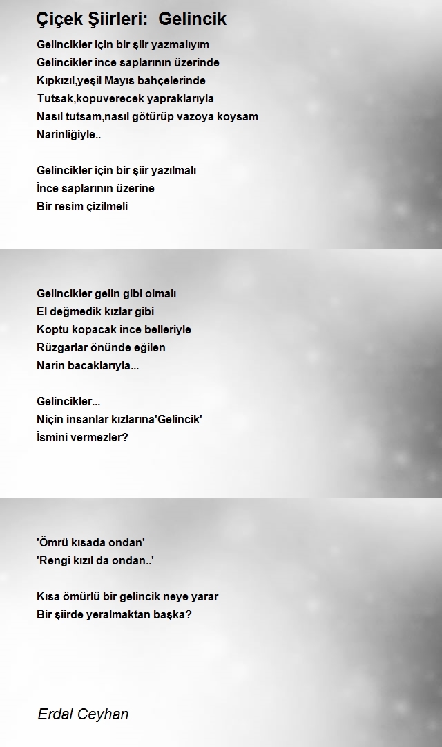 Erdal Ceyhan