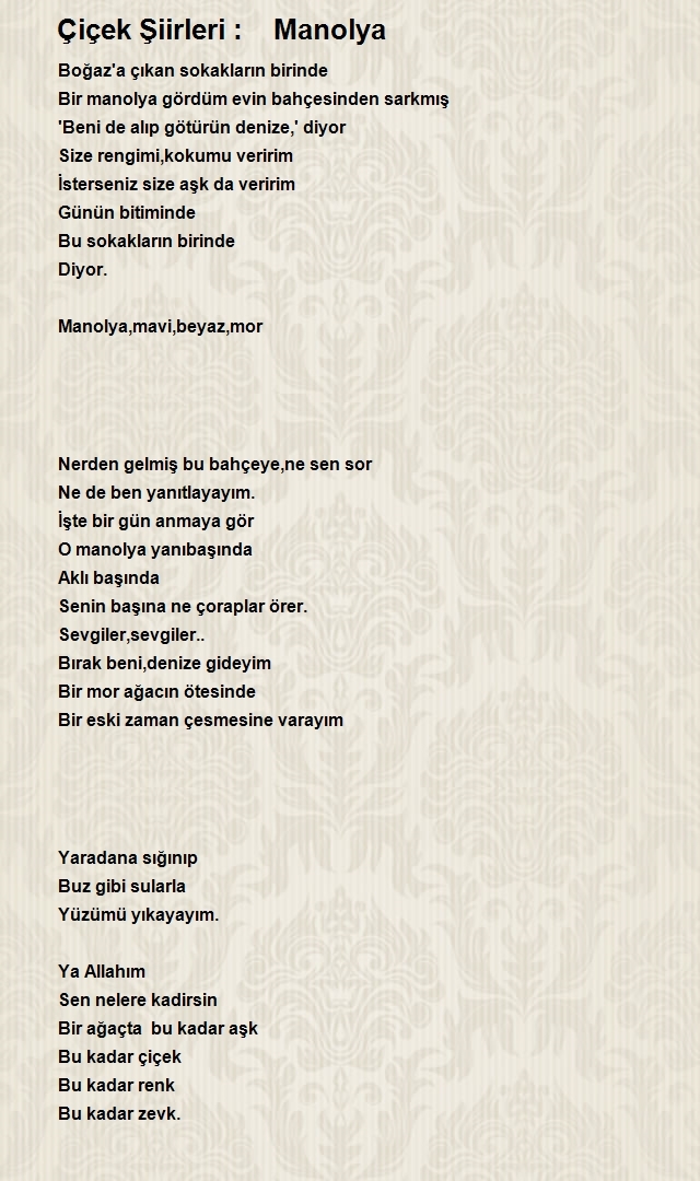 Erdal Ceyhan