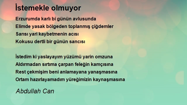Abdullah Can