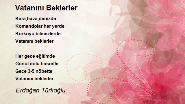 Erdoğan Türkoğlu