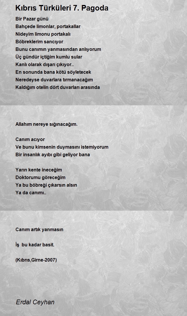 Erdal Ceyhan