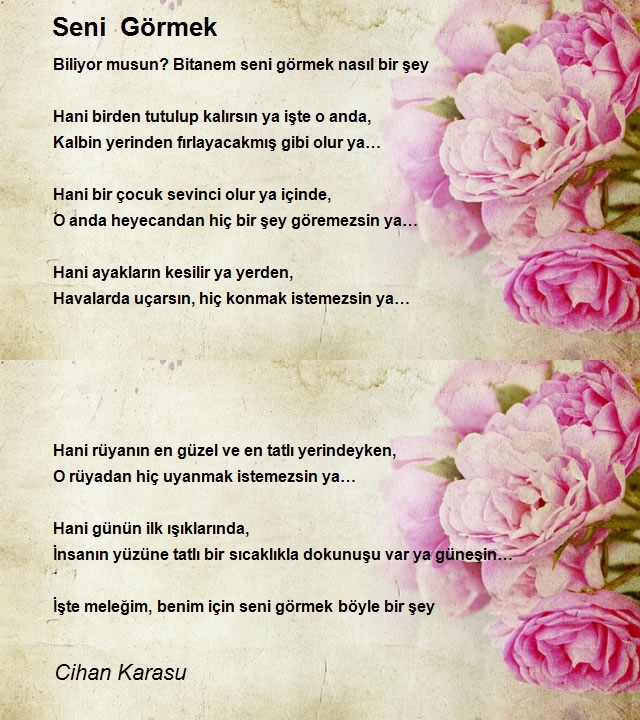 Cihan Karasu