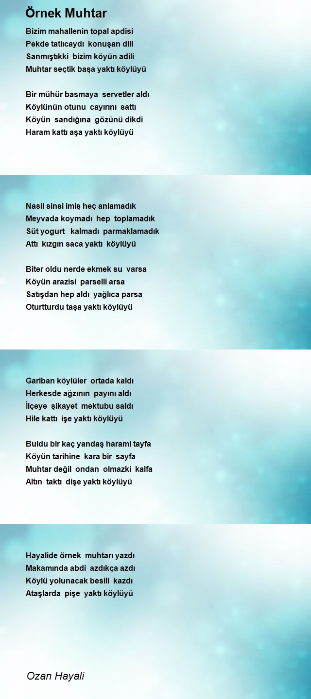Ozan Hayali