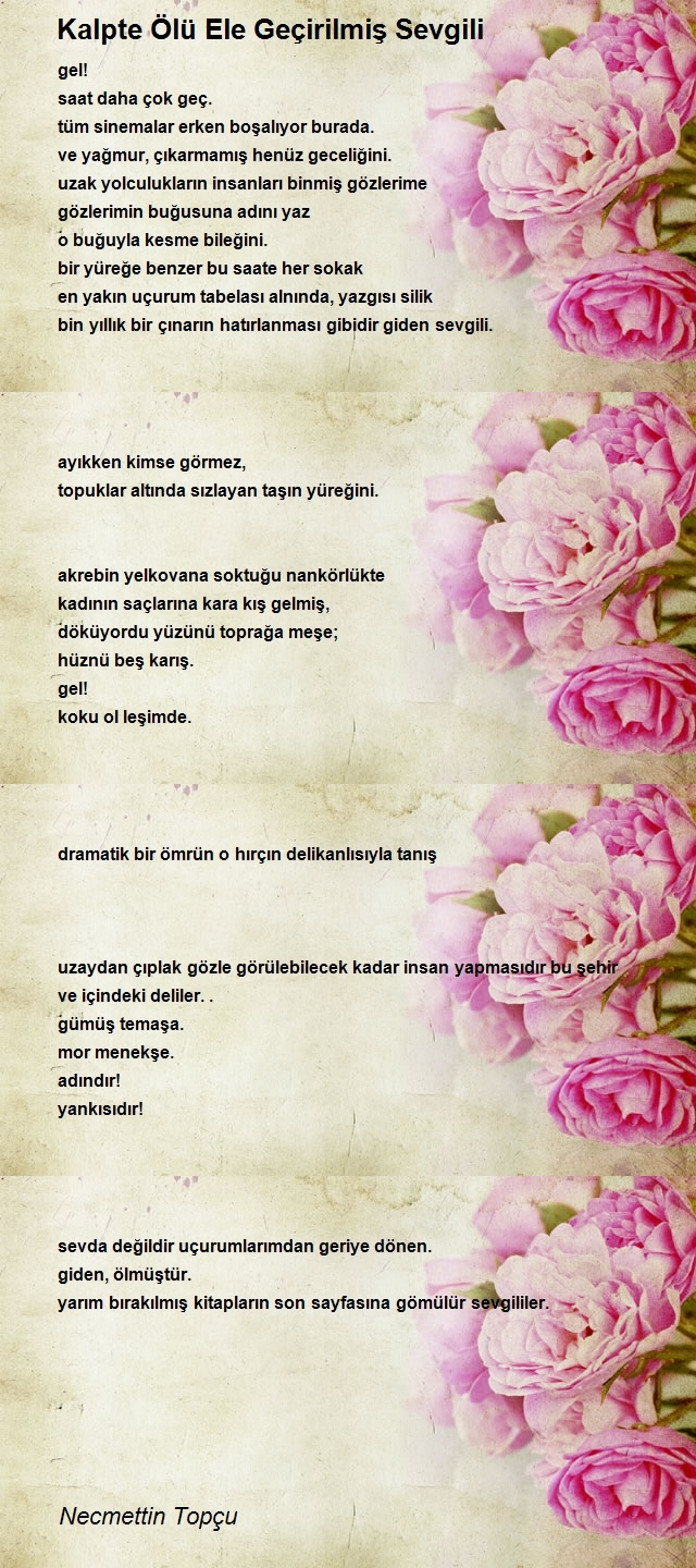 Necmettin Topçu