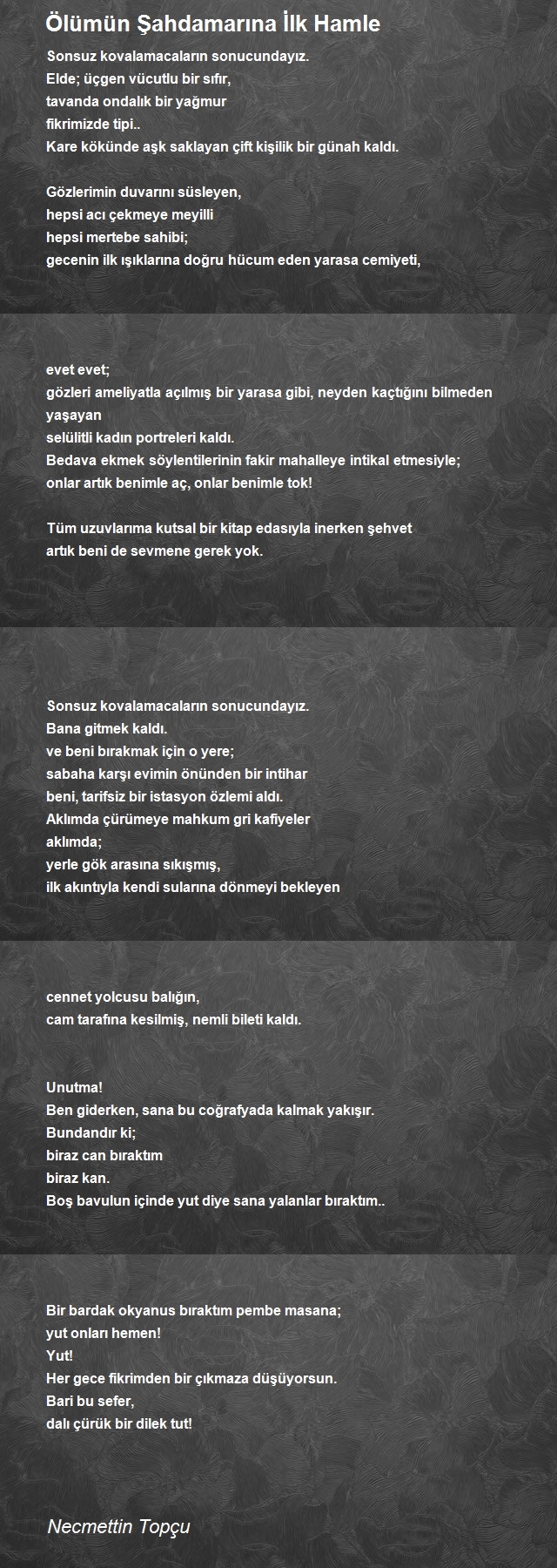 Necmettin Topçu