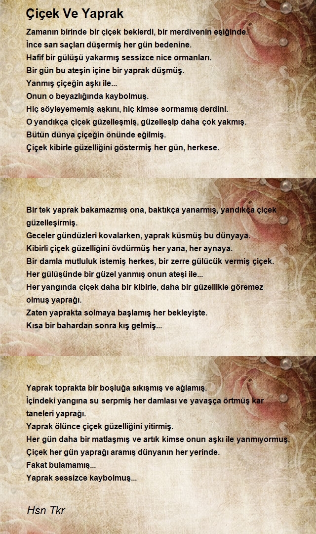 Hsn Tkr