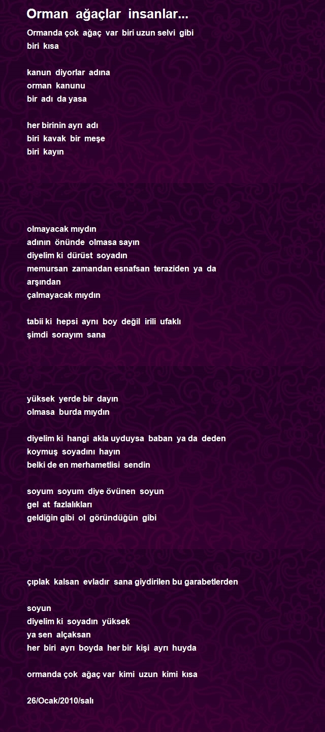 Yüksel Nimet Apel