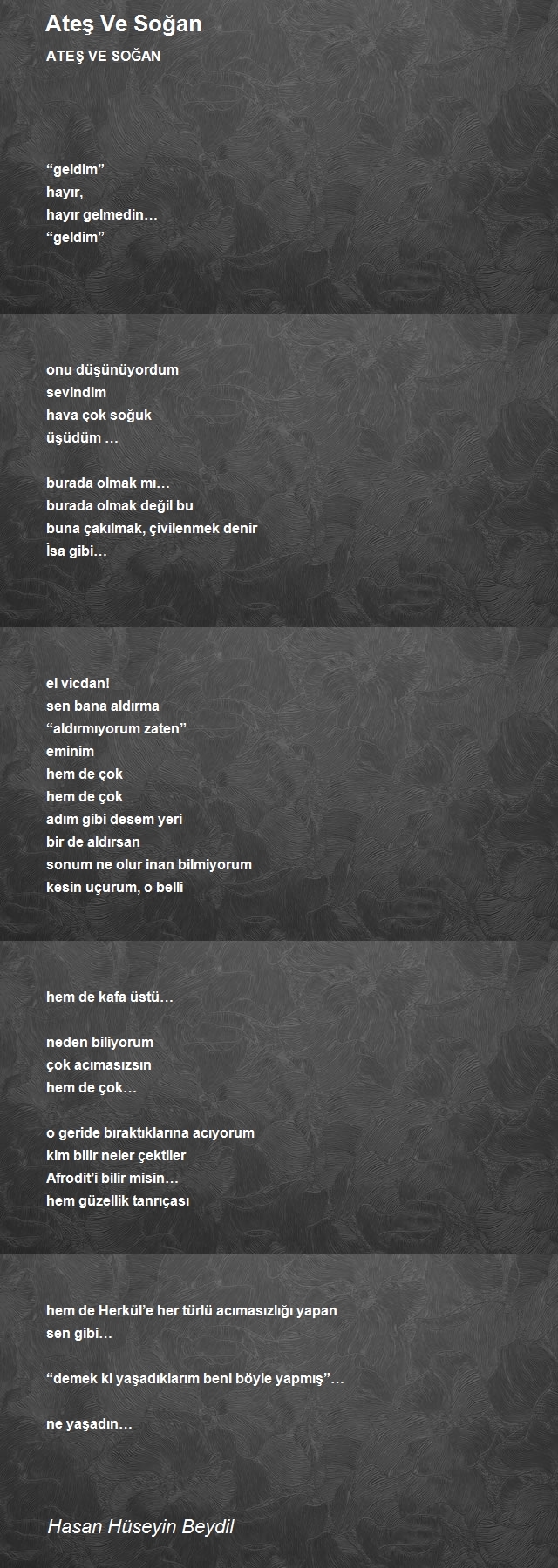 Hasan Hüseyin Beydil