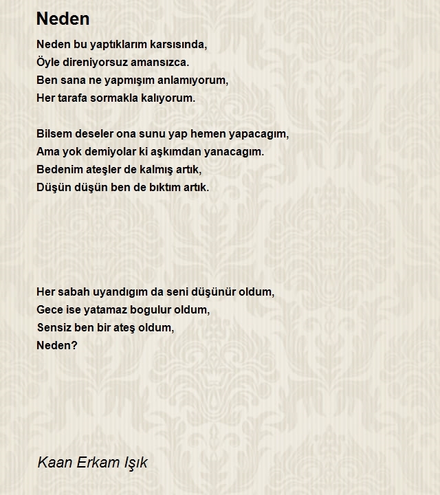Kaan Erkam Işık