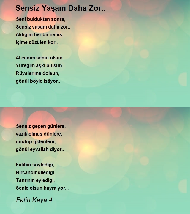 Fatih Kaya 4