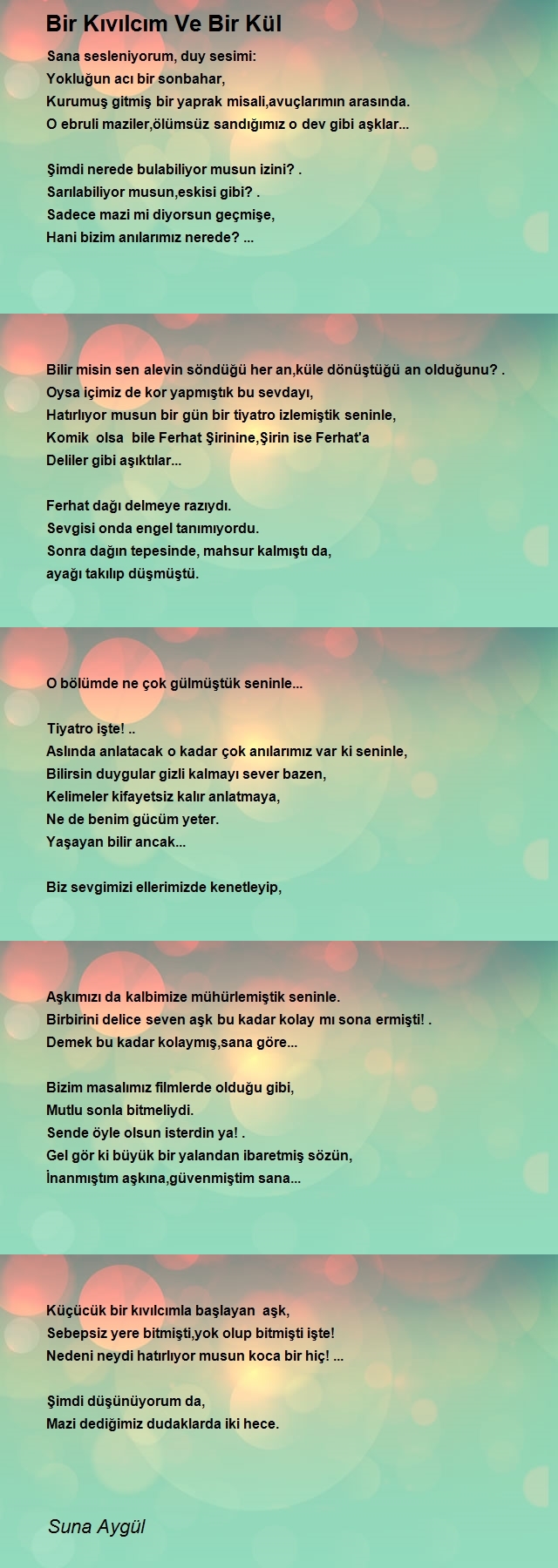 Suna Aygül