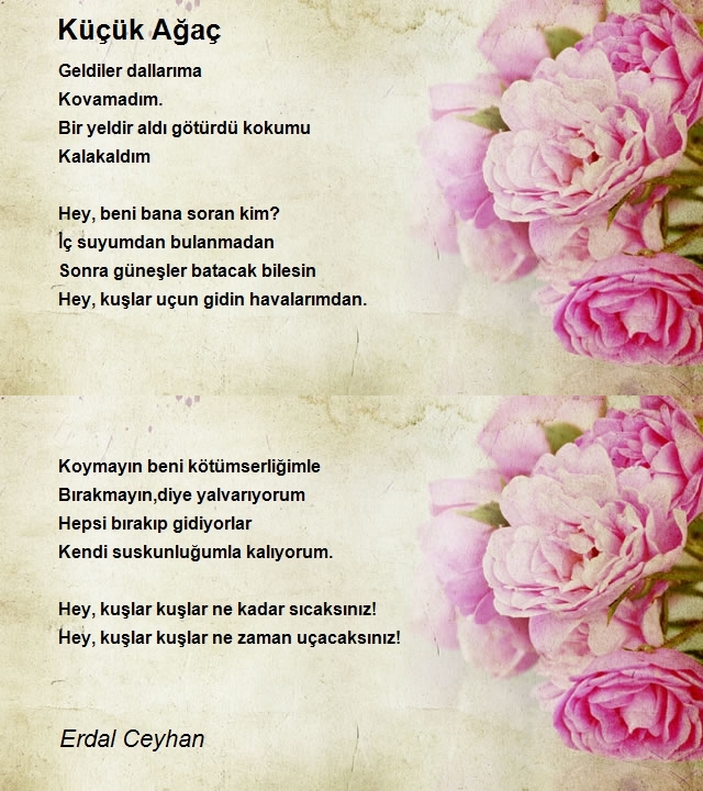 Erdal Ceyhan
