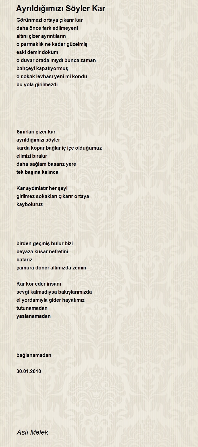 Aslı Melek