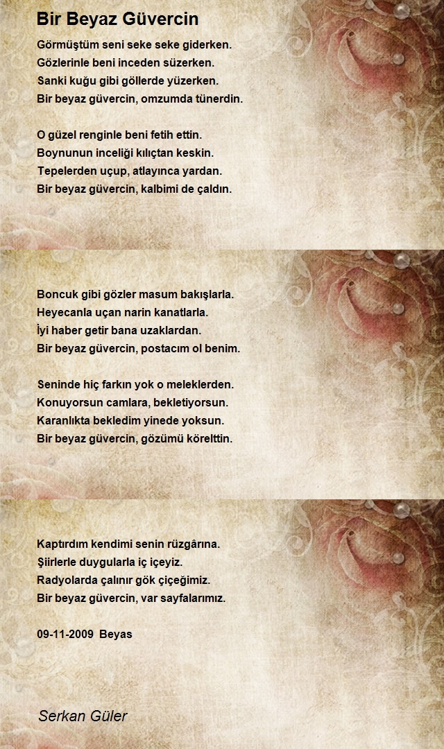 Serkan Güler