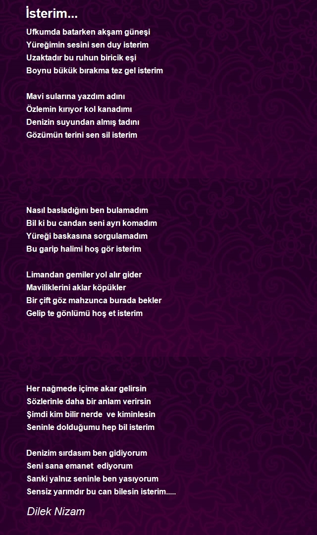 Dilek Nizam