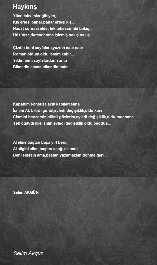 Selim Akgün