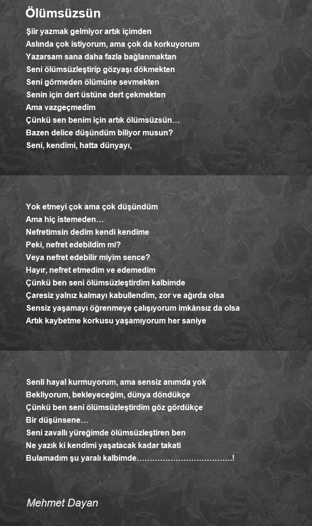 Mehmet Dayan