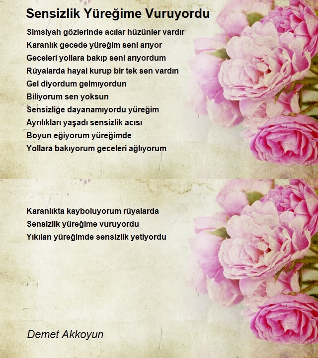 Demet Akkoyun